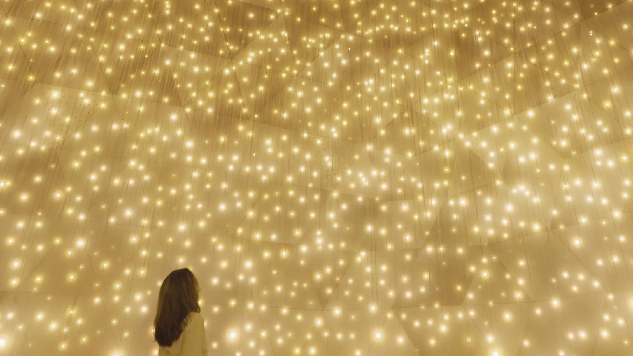 チームラボ バイオヴォルテックス 京都